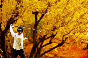 Image post by @hoshinorikuya on Instagram