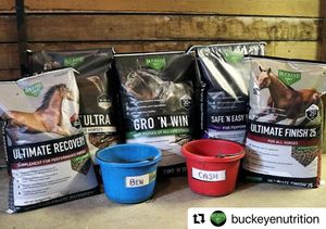 Image post by @kentuckythreedayevent on Instagram