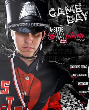 Image post by @astatebands on Instagram