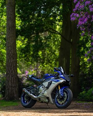 Image post by @bridgestone on Instagram