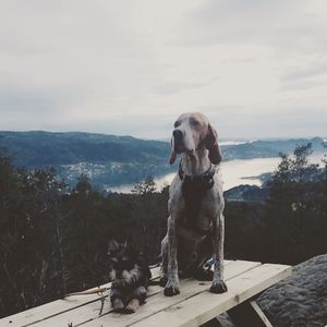 Image post by @carolinedame on Instagram