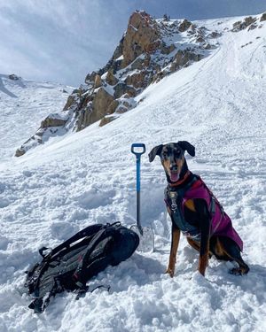 Image post by @winterparkresort on Instagram