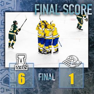 Image post by @nanookshockey on Instagram