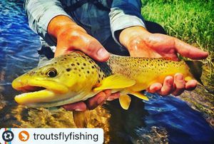 Image post by @granbyranch on Instagram