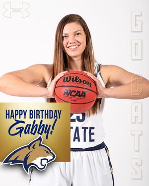 Image post by @msubobcatswbb on Instagram