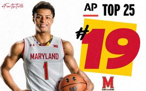 Image post by @terrapinhoops on Instagram