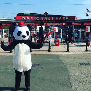 Image post by @nrsc on Instagram