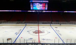 Image post by @swamprabbits on Instagram