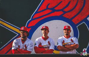 Image post by @springfield_cardinals on Instagram