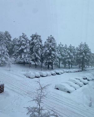 Image post by @nauflagstaff on Instagram