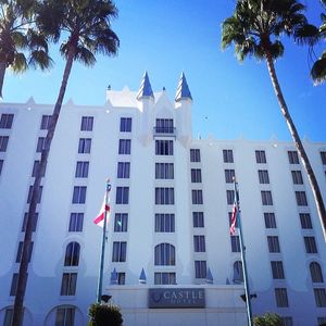 Image post by @arenausa on Instagram