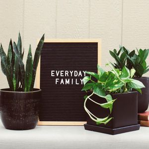Image post by @shopbachmans on Instagram