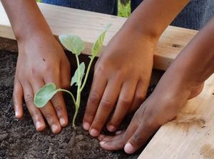 Image post by @kidsgardening on Instagram