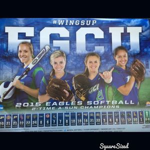 Image post by @fgcusoftball on Instagram
