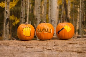 Image post by @nauflagstaff on Instagram