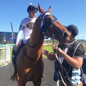 Image post by @australianturfclub on Instagram