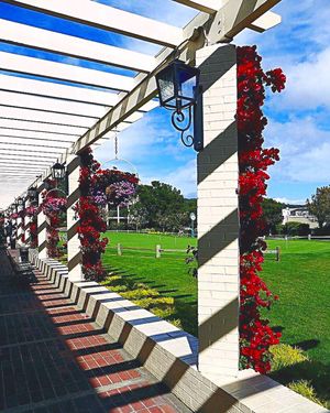 Image post by @pebblebeachresorts on Instagram