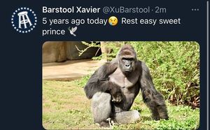 Image post by @barstoolxu on Instagram