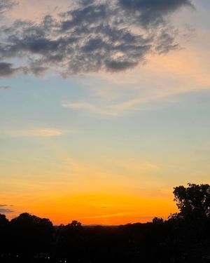 Image post by @elleemikellphoto on Instagram