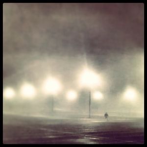 Image post by @roephoto on Instagram