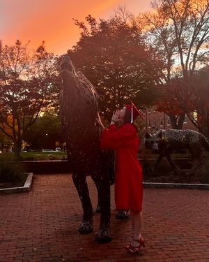 Image post by @ncstatedasa on Instagram
