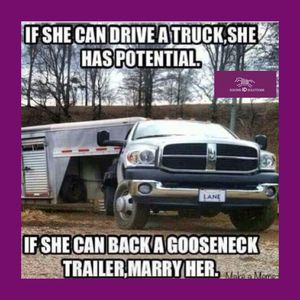Image post by @equineidsolutions on Instagram