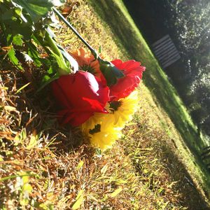 Image post by @scleggphotography on Instagram