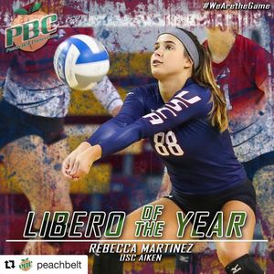 Image post by @mytribevolleyball on Instagram
