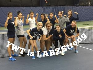 Image post by @yalesoftball on Instagram