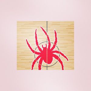 Image post by @spiderathletics on Instagram