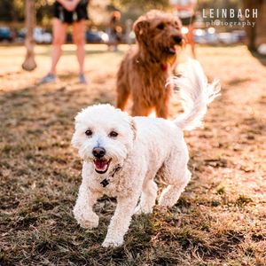 Image post by @leinbachphotography on Instagram