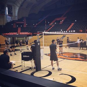 Image post by @beavervball on Instagram