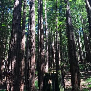 Image post by @ucsc on Instagram