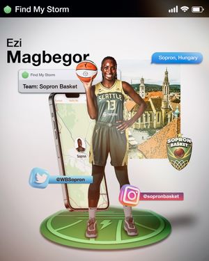 Image post by @seattlestorm on Instagram