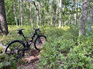 Image post by @bikerumor on Instagram