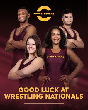 Image post by @the_stingers on Instagram