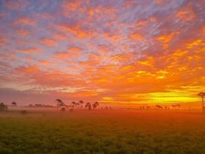 Image post by @visitsarasotacounty on Instagram