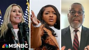Video post by @msnbc on YouTube