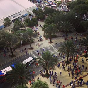 Image post by @floridagators on Instagram