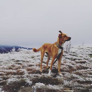 Image post by @jonathn_roberts on Instagram