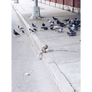 Image post by @lesliekirchhoff on Instagram