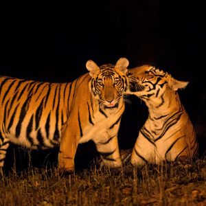 Image post by @discovery on Instagram