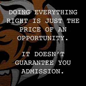 Image post by @rawlingstigers on Instagram
