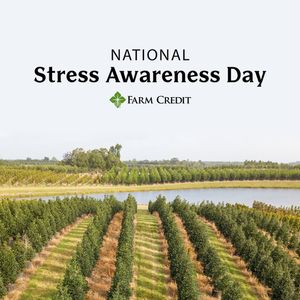 Image post by @farmcredit on Instagram