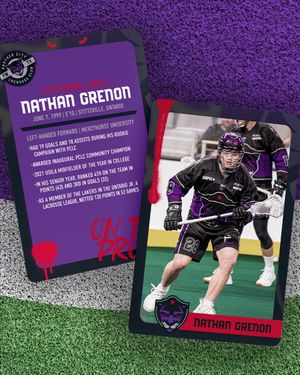 Image post by @PantherCityLax on Twitter