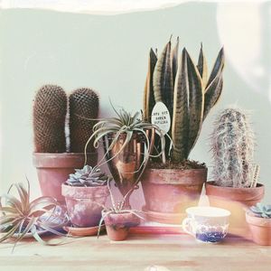 Image post by @fecastleberry on Instagram