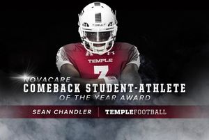 Image post by @templeowls on Instagram