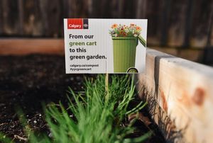 Image post by @cityofcalgary on Instagram