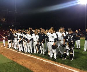 Image post by @gamecockbaseball on Instagram