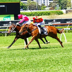 Image post by @australianturfclub on Instagram